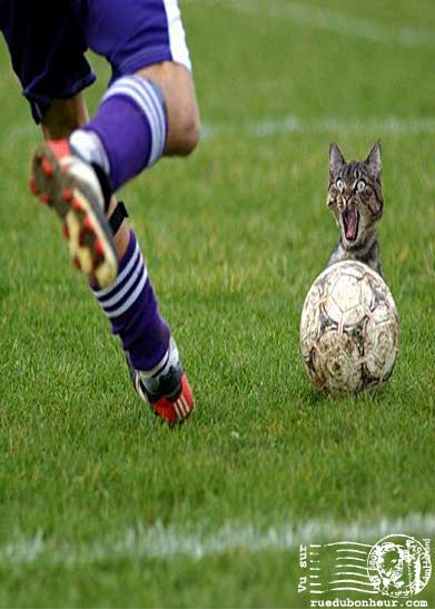 penalty